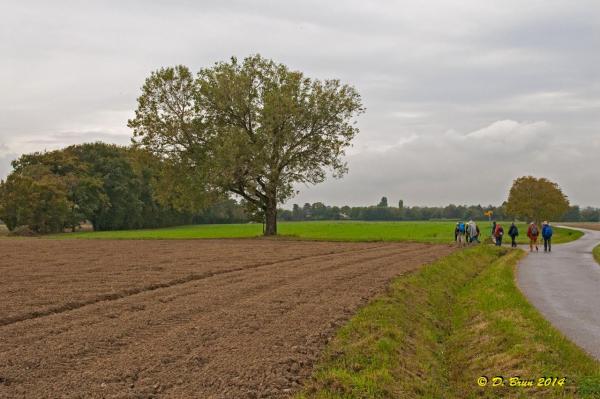 Bornes-Jussy-010