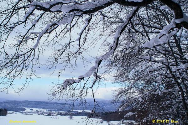 Bougy-Aubonne-004