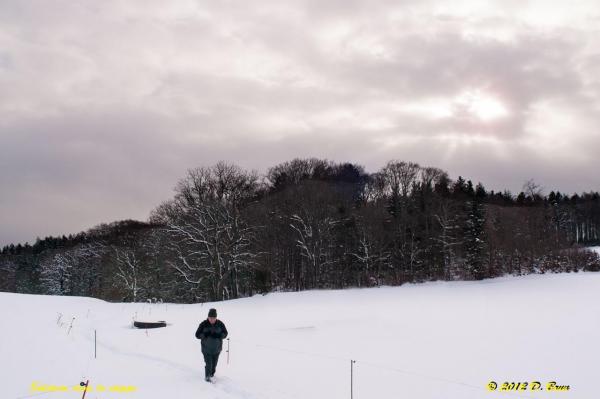 Bougy-Aubonne-005