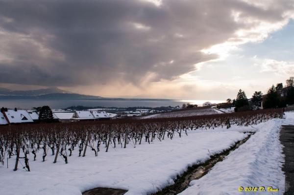 Bougy-Aubonne-008