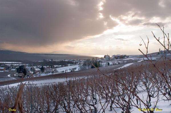 Bougy-Aubonne-010