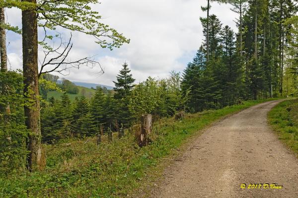 Burtigny-002