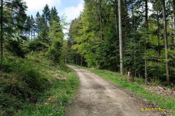 Burtigny-003