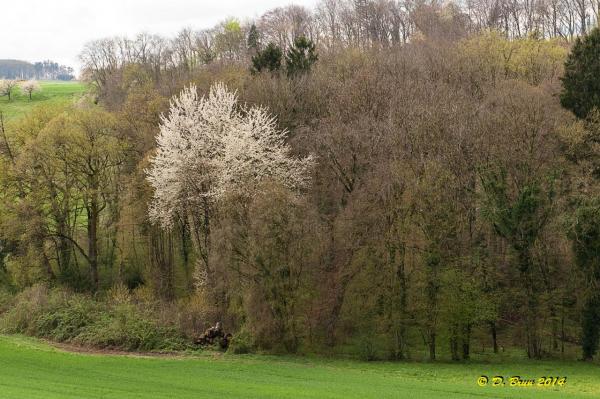 Bussigny-Moulinet-008