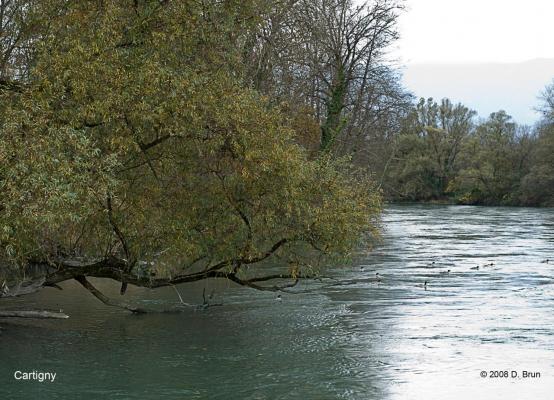 Cartigny-005