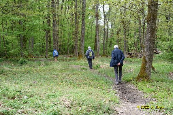 Cartigny 004