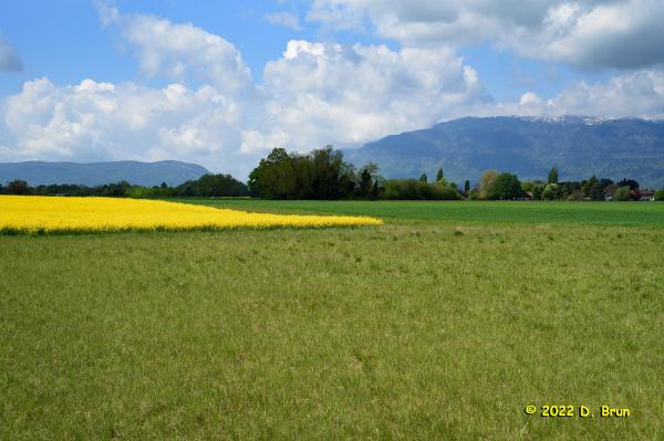 Cartigny 009