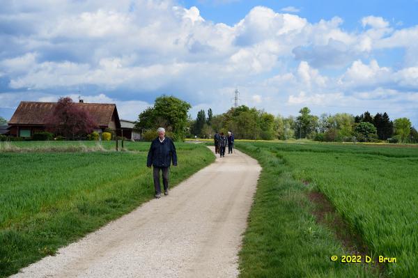 Cartigny 011