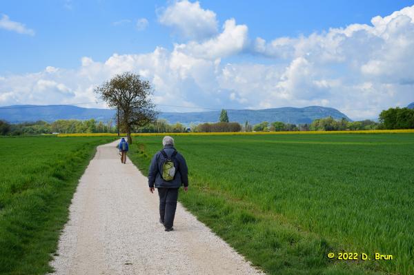 Cartigny 012