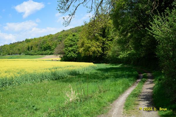 Cartigny 015