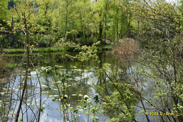 Cartigny 017