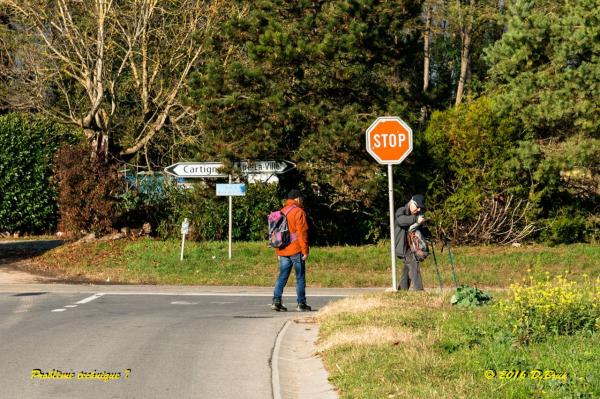Cartigny-Treulaz-003