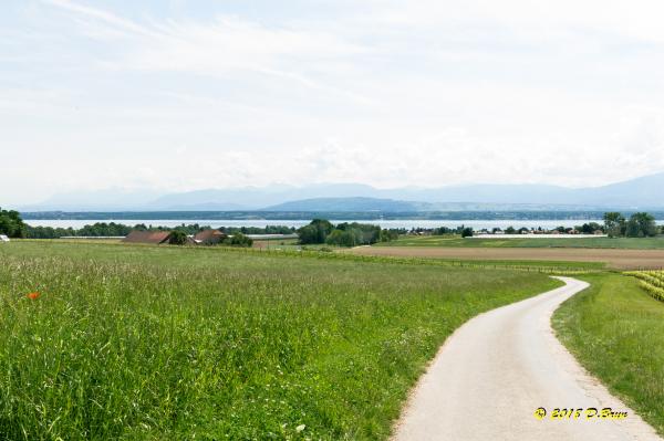 Céligny-005