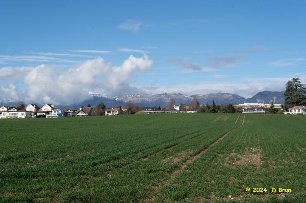 Celigny 01