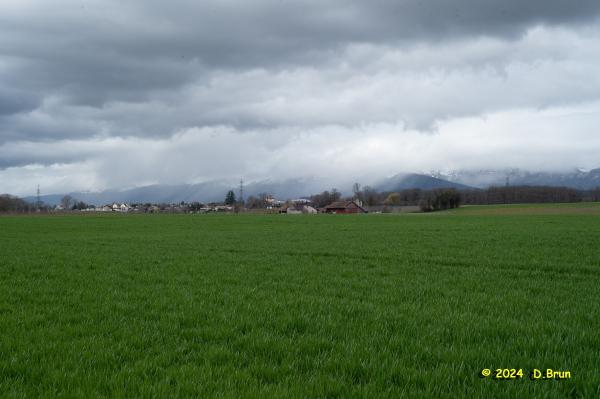 Celigny 12
