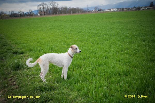Celigny 13