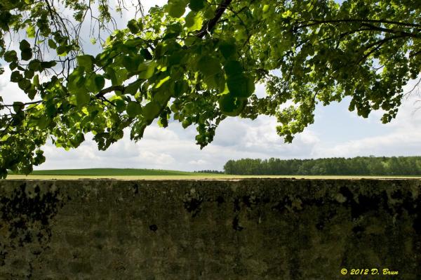 Céligny-Arnex-012