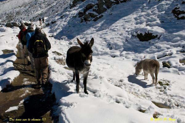 Chamonix-012
