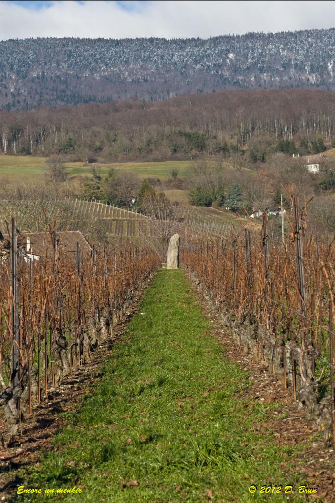 Champagne-Onnens-011