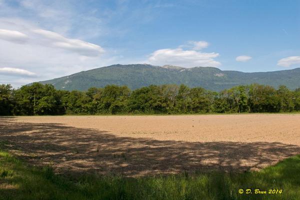 Chancy-Racleret-001