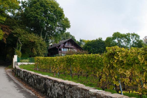 Châtaignes-005