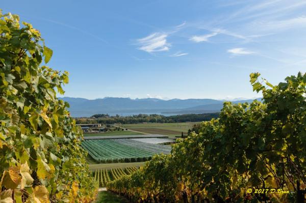 Châtaignes-018