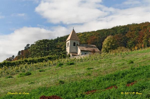 Châtaignes-019
