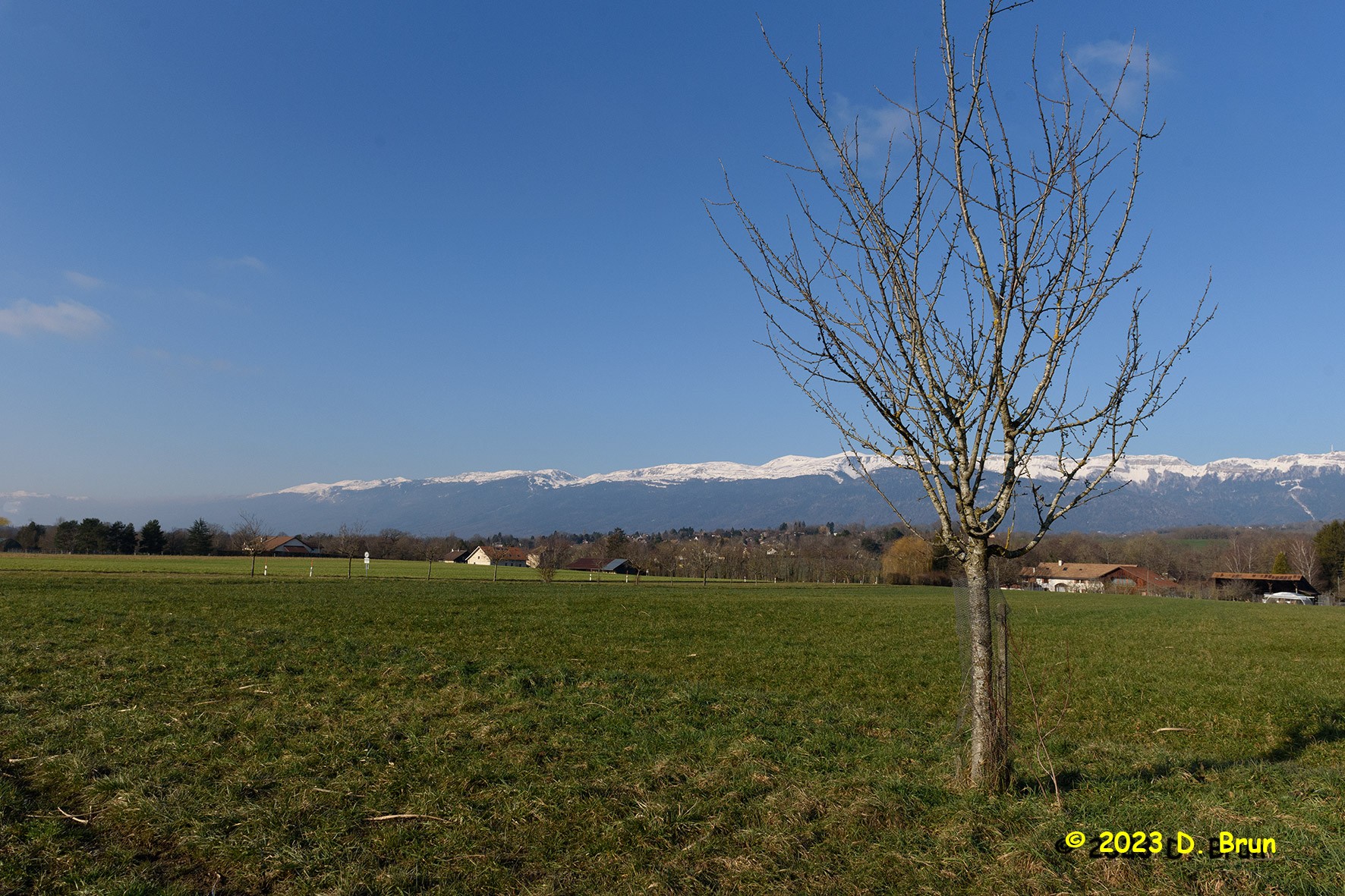 Chavannes 001