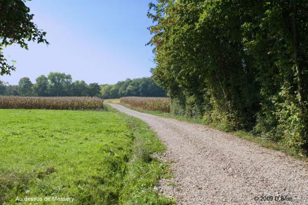 Chens-Nernier-002