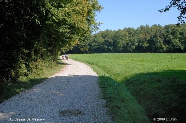 Chens-Nernier-003