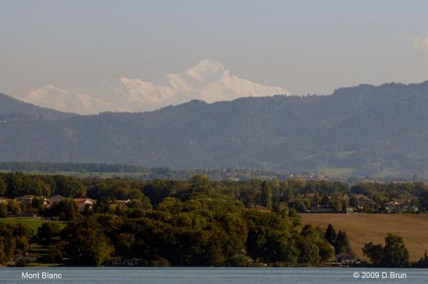 Chens-Nernier-013
