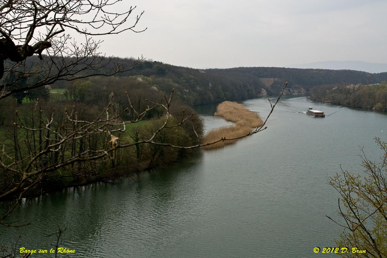 Chèvres-Satigny-001