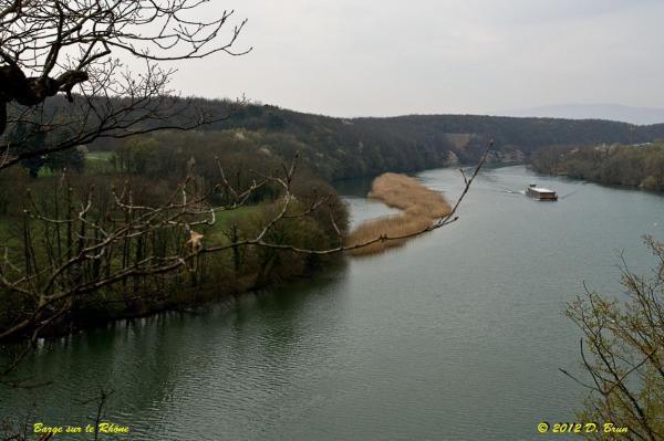 Chèvres-Satigny-001