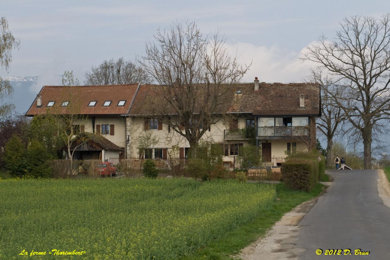 Chèvres-Satigny-004