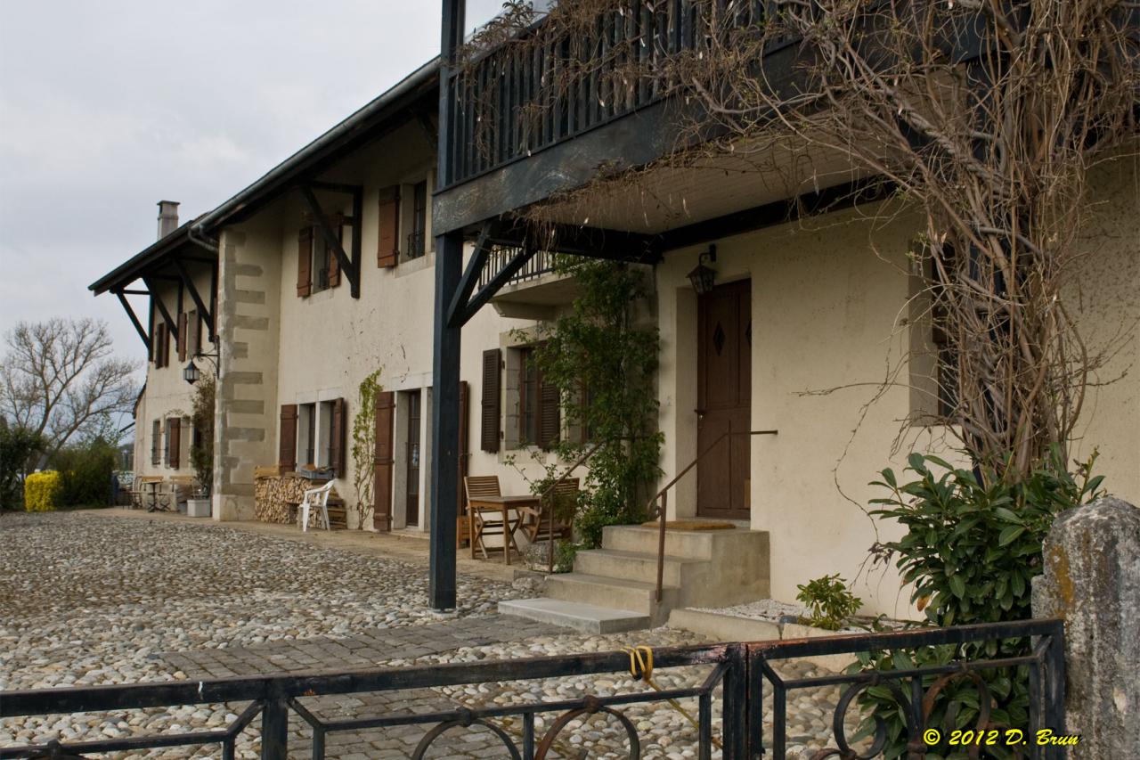 Chèvres-Satigny-005