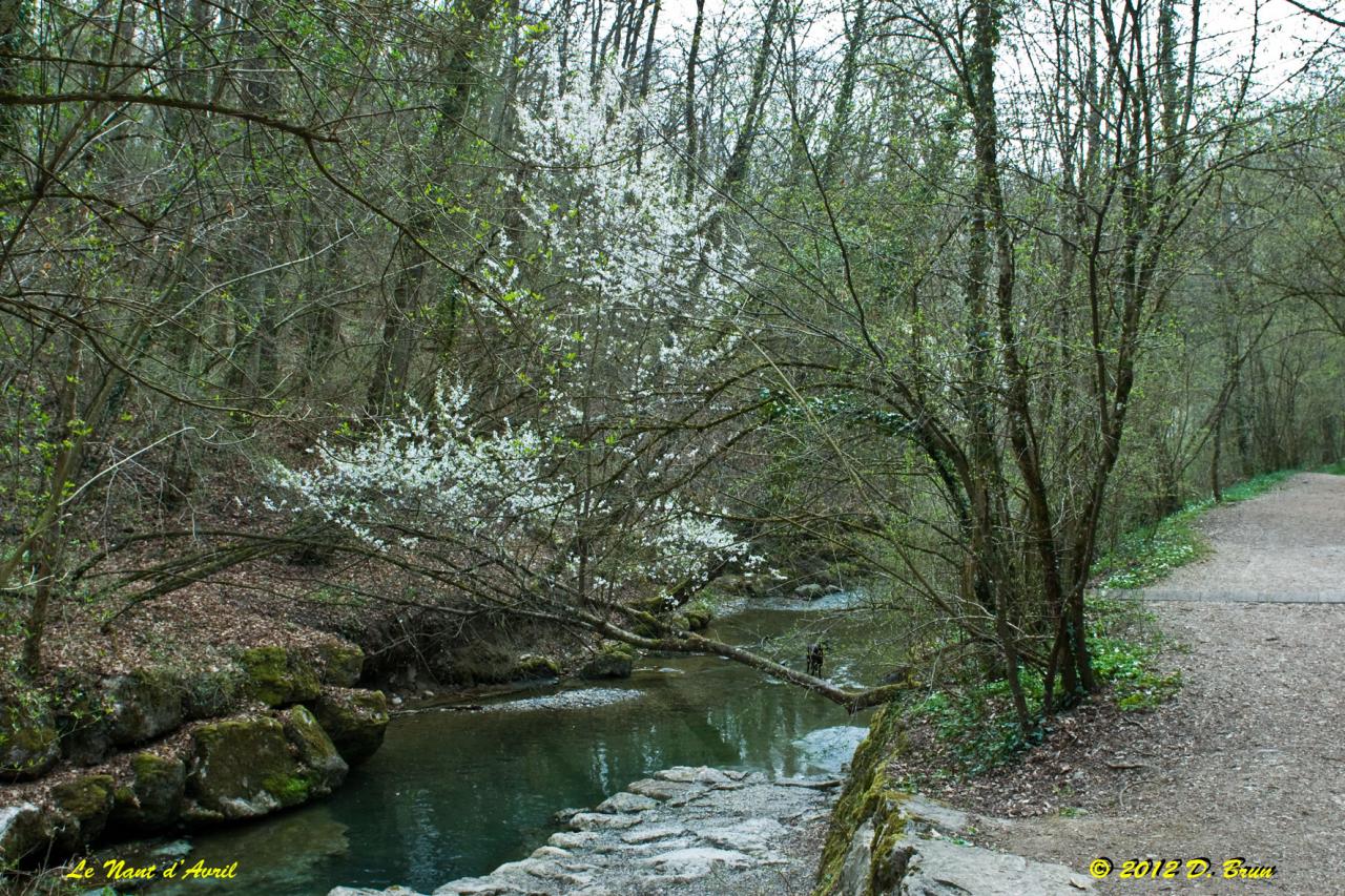 Chèvres-Satigny-009