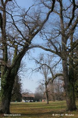Choulex-Seymaz-014