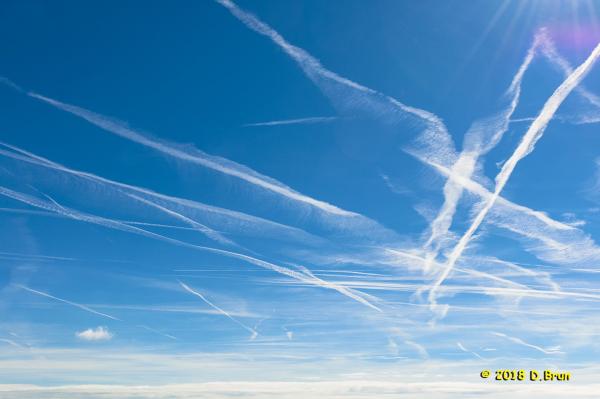 Ciel 003