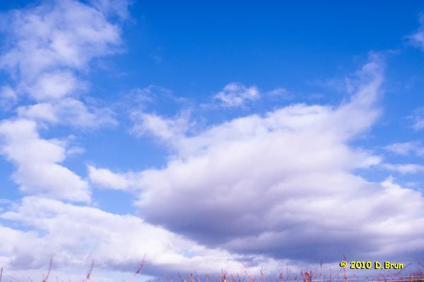 Ciel 004