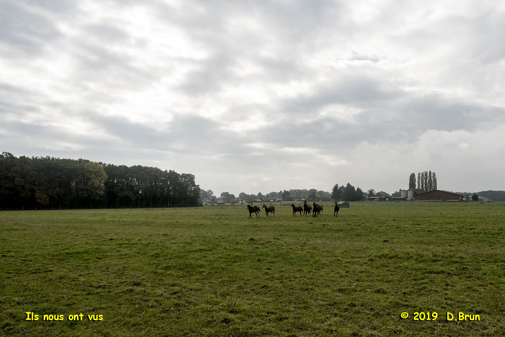 Collex-Bellevue-014