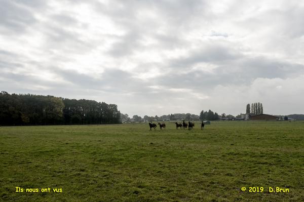 Collex-Bellevue-014