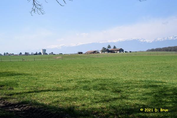 Collex versoix 014