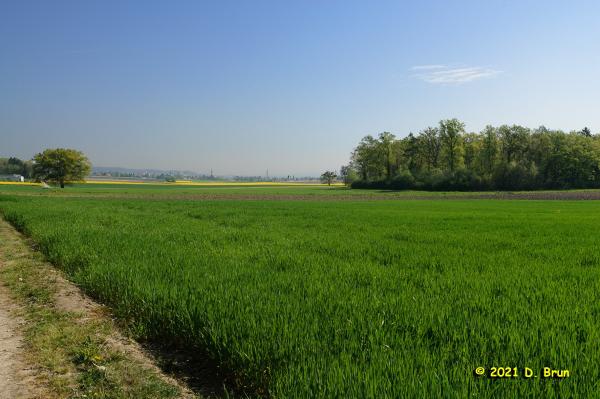 Commugny 001