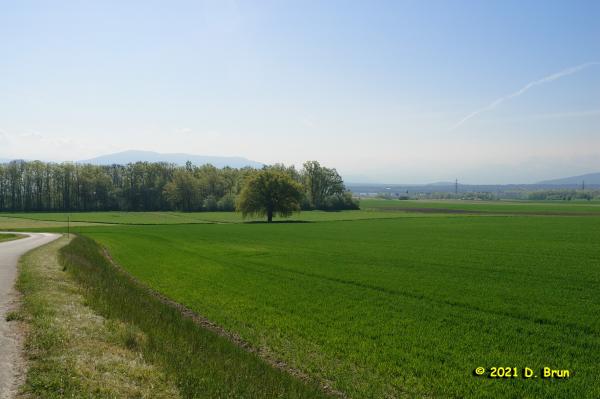 Commugny 002