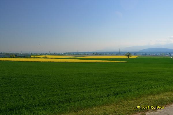 Commugny 003