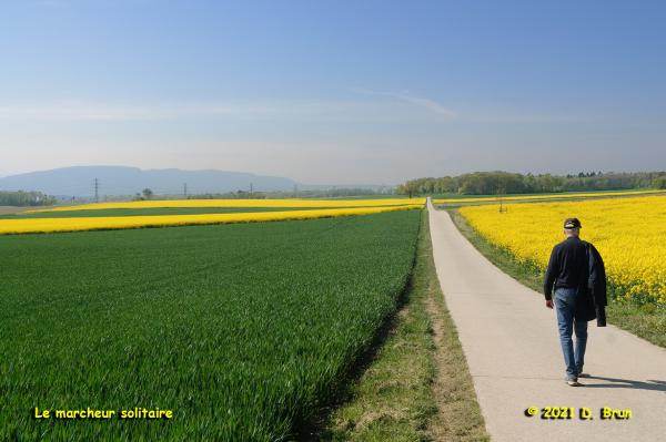 Commugny 007