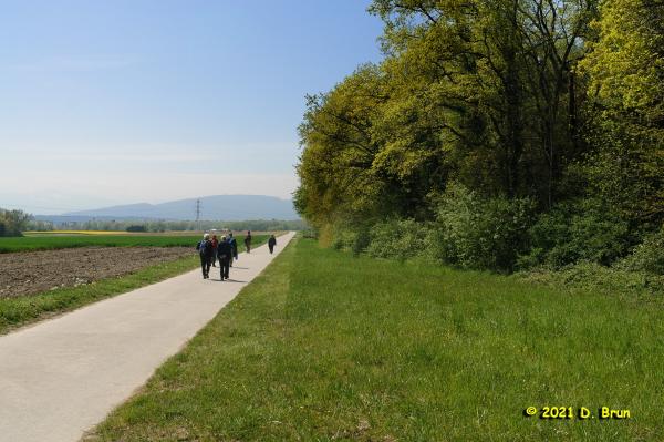 Commugny 014