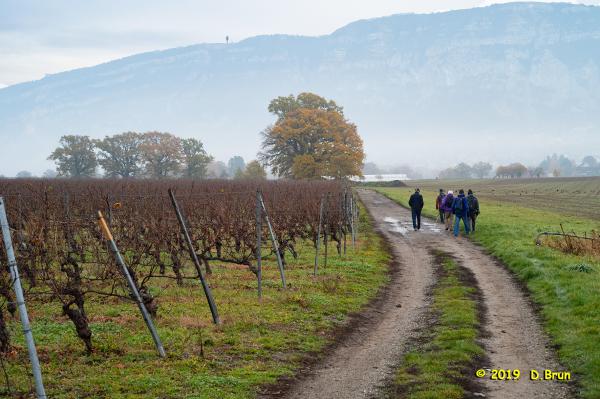 Compesiere-Bossey-002