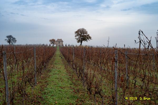 Compesiere-Bossey-003