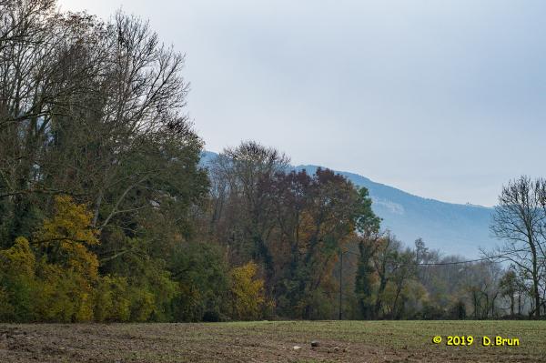 Compesiere-Bossey-005